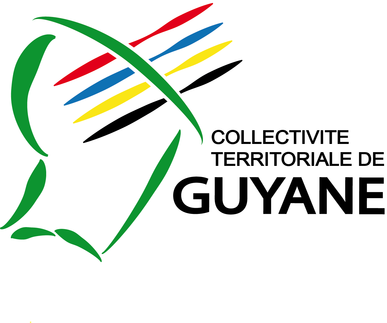Logo CTG